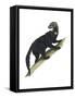 Tayra (Eira Barbara), Mammals-Encyclopaedia Britannica-Framed Stretched Canvas