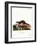 Tayra-null-Framed Premium Giclee Print