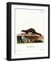 Tayra-null-Framed Giclee Print