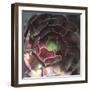 Taza-Tony Koukos-Framed Giclee Print