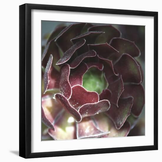 Taza-Tony Koukos-Framed Giclee Print