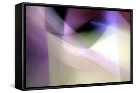 Tazza-Douglas Taylor-Framed Stretched Canvas