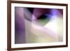 Tazza-Douglas Taylor-Framed Photographic Print