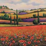 Fields of Poppies II-TC Chiu-Art Print