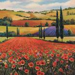 Fields of Poppies II-TC Chiu-Art Print