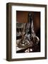 TC’s Boots-Barry Hart-Framed Art Print