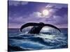 TC1041-Casay Anthony-Stretched Canvas