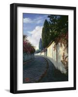 TC1067-Casay Anthony-Framed Giclee Print