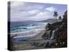 TC1128-Casay Anthony-Stretched Canvas