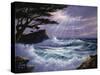 TC1169-Casay Anthony-Stretched Canvas