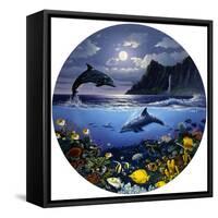 TC2165-Casay Anthony-Framed Stretched Canvas