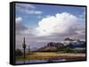 TC2244-Casay Anthony-Framed Stretched Canvas