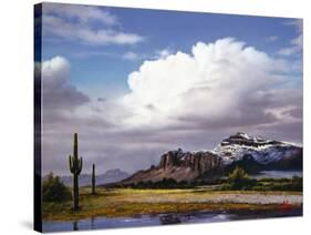 TC2244-Casay Anthony-Stretched Canvas