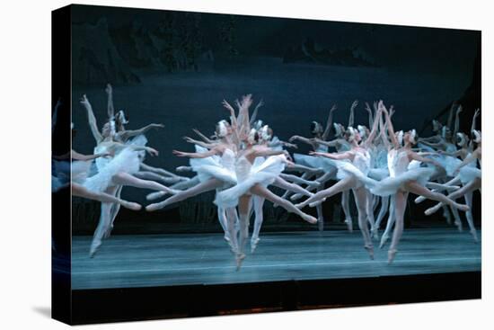 Tchaikovsky's Swan Lake, Mariinsky Theatre, St. Petersburg, 2004-null-Stretched Canvas