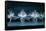 Tchaikovsky's Swan Lake, Mariinsky Theatre, St. Petersburg, 2004-null-Framed Stretched Canvas