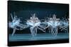 Tchaikovsky's Swan Lake, Mariinsky Theatre, St. Petersburg, 2004-null-Stretched Canvas