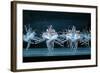 Tchaikovsky's Swan Lake, Mariinsky Theatre, St. Petersburg, 2004-null-Framed Photographic Print