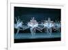 Tchaikovsky's Swan Lake, Mariinsky Theatre, St. Petersburg, 2004-null-Framed Photographic Print