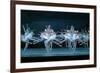 Tchaikovsky's Swan Lake, Mariinsky Theatre, St. Petersburg, 2004-null-Framed Photographic Print