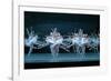 Tchaikovsky's Swan Lake, Mariinsky Theatre, St. Petersburg, 2004-null-Framed Photographic Print