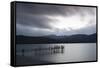 Te Anau jetty with lake and mountain in background, Southland, South Island, New Zealand-Ed Rhodes-Framed Stretched Canvas