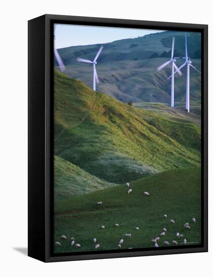 Te Apiti Wind Farm, Palmerston North, Manawatu, North Island, New Zealand, Pacific-Don Smith-Framed Stretched Canvas