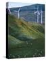Te Apiti Wind Farm, Palmerston North, Manawatu, North Island, New Zealand, Pacific-Don Smith-Stretched Canvas