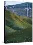 Te Apiti Wind Farm, Palmerston North, Manawatu, North Island, New Zealand, Pacific-Don Smith-Stretched Canvas