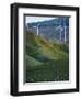 Te Apiti Wind Farm, Palmerston North, Manawatu, North Island, New Zealand, Pacific-Don Smith-Framed Photographic Print