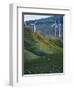 Te Apiti Wind Farm, Palmerston North, Manawatu, North Island, New Zealand, Pacific-Don Smith-Framed Photographic Print