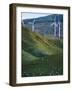 Te Apiti Wind Farm, Palmerston North, Manawatu, North Island, New Zealand, Pacific-Don Smith-Framed Photographic Print