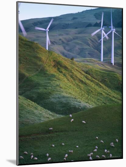 Te Apiti Wind Farm, Palmerston North, Manawatu, North Island, New Zealand, Pacific-Don Smith-Mounted Photographic Print