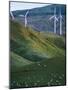 Te Apiti Wind Farm, Palmerston North, Manawatu, North Island, New Zealand, Pacific-Don Smith-Mounted Photographic Print