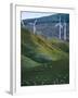 Te Apiti Wind Farm, Palmerston North, Manawatu, North Island, New Zealand, Pacific-Don Smith-Framed Photographic Print