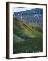 Te Apiti Wind Farm, Palmerston North, Manawatu, North Island, New Zealand, Pacific-Don Smith-Framed Photographic Print