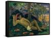 Te Arii Vahine (The King's Wife), 1896-Paul Gauguin-Framed Stretched Canvas