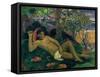 Te Arii Vahine (The King's Wife), 1896-Paul Gauguin-Framed Stretched Canvas