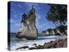 Te Horo Rock, Cathedral Cove, Coromandel Peninsula, North Island, New Zealand, Pacific-Dominic Harcourt-webster-Stretched Canvas