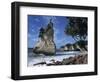 Te Horo Rock, Cathedral Cove, Coromandel Peninsula, North Island, New Zealand, Pacific-Dominic Harcourt-webster-Framed Photographic Print