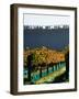 Te Kairanga Vineyard, Martinborough, Wairarapa, North Island, New Zealand-David Wall-Framed Photographic Print