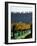 Te Kairanga Vineyard, Martinborough, Wairarapa, North Island, New Zealand-David Wall-Framed Photographic Print