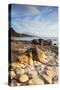 Te Mata Beach, Coromandel Peninsula, North Island, New Zealand-Ian Trower-Stretched Canvas