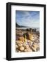 Te Mata Beach, Coromandel Peninsula, North Island, New Zealand-Ian Trower-Framed Photographic Print