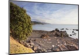 Te Mata Beach, Coromandel Peninsula, Waikato, North Island, New Zealand, Pacific-Ian-Mounted Photographic Print