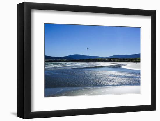 Te Waewae Bay, Along the Road from Invercargill to Te Anau, South Island, New Zealand, Pacific-Michael Runkel-Framed Photographic Print