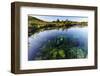 Te Waikoropupu Springs Declared as Clearest Fresh Water Springs in the World, Takaka, Golden Bay-Michael Runkel-Framed Photographic Print