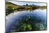 Te Waikoropupu Springs Declared as Clearest Fresh Water Springs in the World, Takaka, Golden Bay-Michael Runkel-Mounted Photographic Print