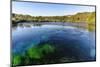 Te Waikoropupu Springs Declared as Clearest Fresh Water Springs in the World, Takaka, Golden Bay-Michael Runkel-Mounted Photographic Print