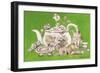 Tea, 1993-E.B. Watts-Framed Giclee Print