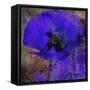 Tea and Dreams-Tina Lavoie-Framed Stretched Canvas